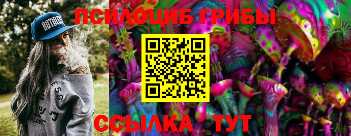 Галлюциногенные грибы прущие грибы Губкинский